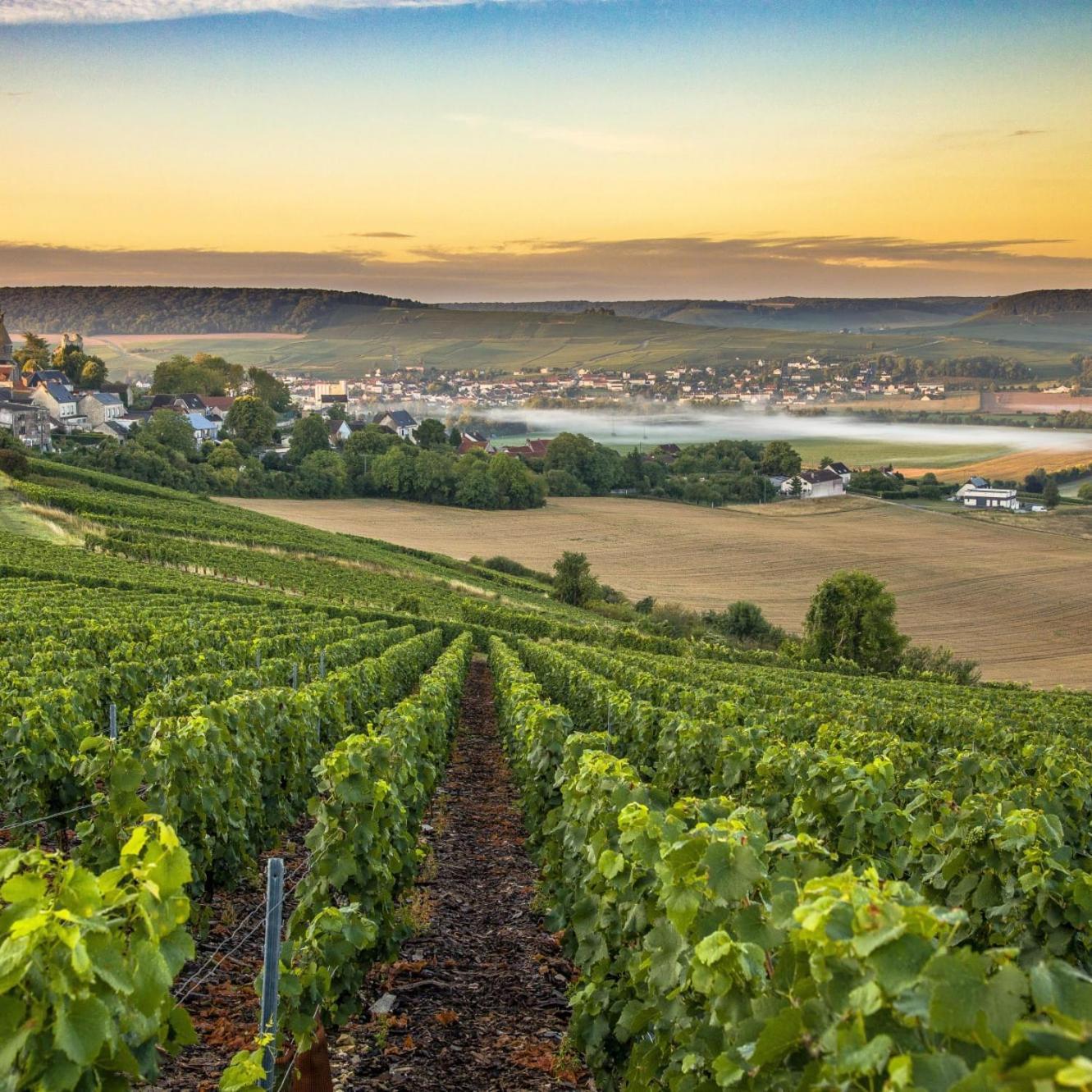 Les Bulles De Bonheur - Au Coeur Du Vignoble Champenois Chouilly